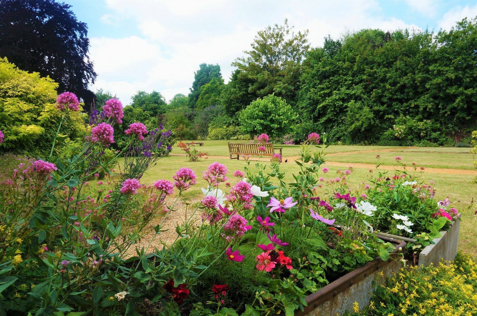 Greyfriars Lodge Canterbury Bagian luar foto